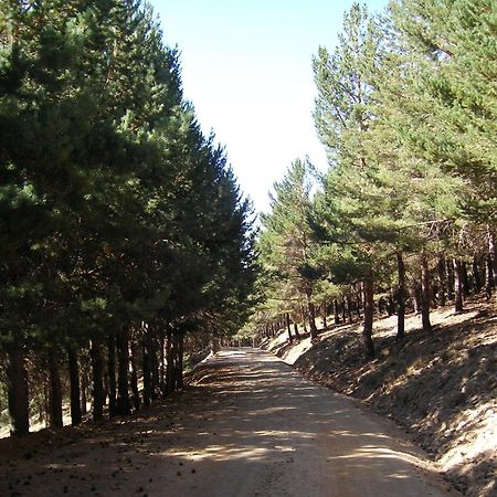Hostal Rural Poqueira Capileira Kültér fotó