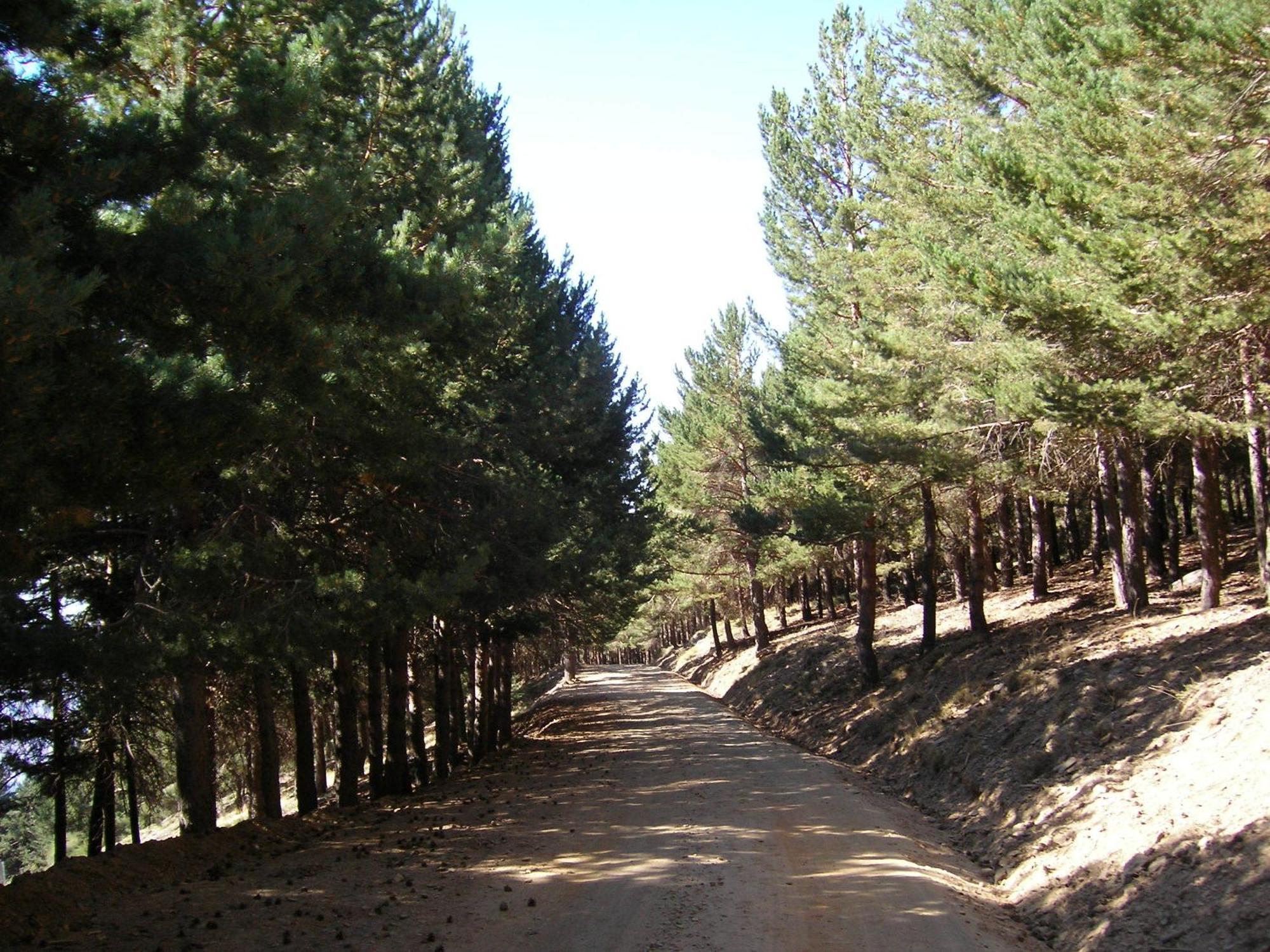 Hostal Rural Poqueira Capileira Kültér fotó